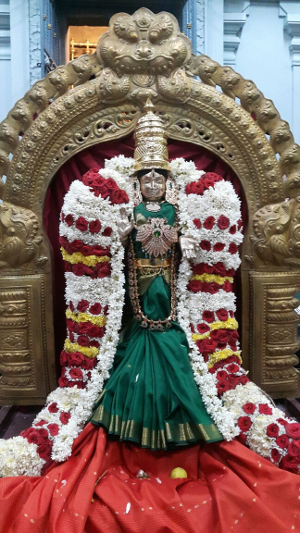 Navarathri Photos
